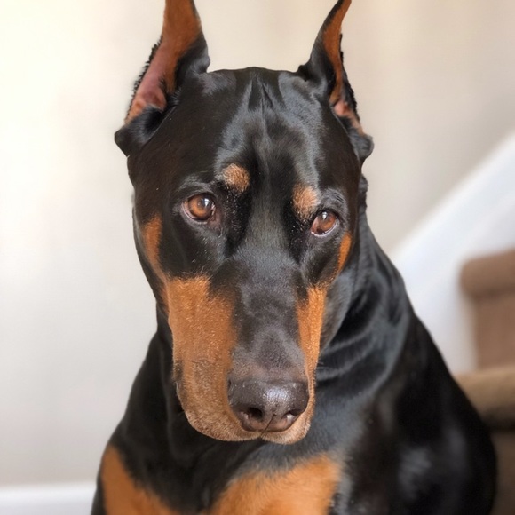 Meet your Posher, Michelle - Picture 11 of 11